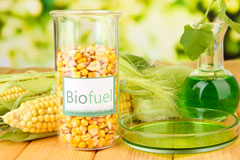 Chyanvounder biofuel availability