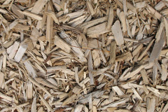 biomass boilers Chyanvounder